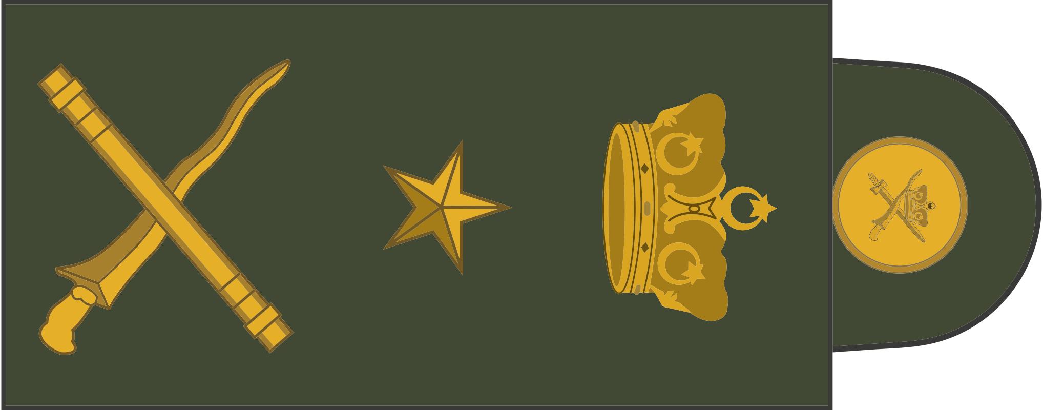 民国国军军装军衔标识,马来西亚军队军衔图集