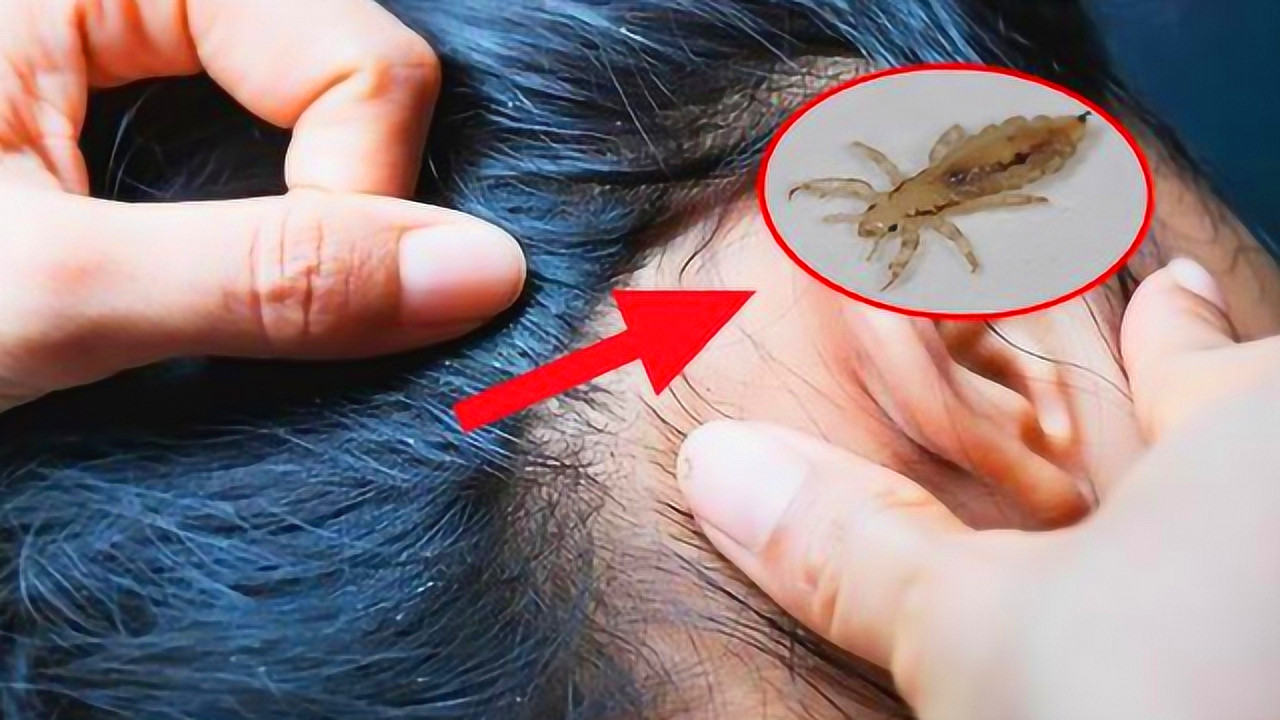 同人类祖先同时进化的人,人类进化了这么久为何还自相残杀