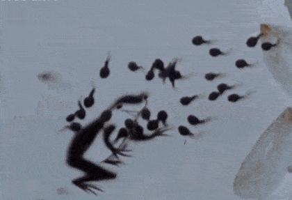 这些真正的原创经典，现在孩子却很少看过，真是太可惜了…