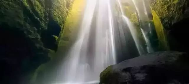 「儿童主播刘释文」《我赞美世界》文：顾城