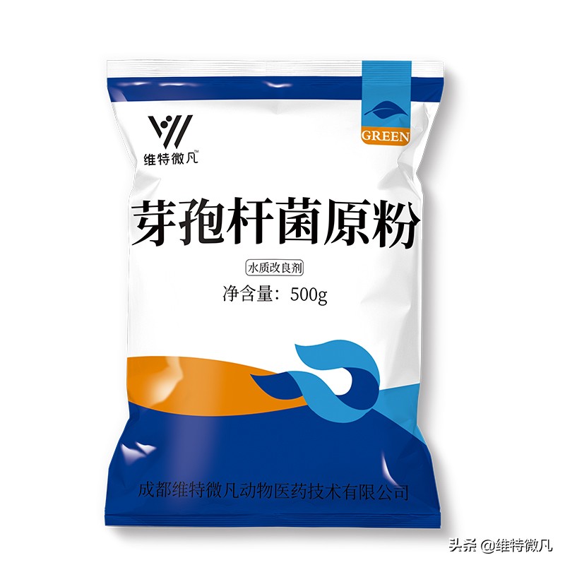 池塘水有腥臭味,池塘的水有一股腥臭味