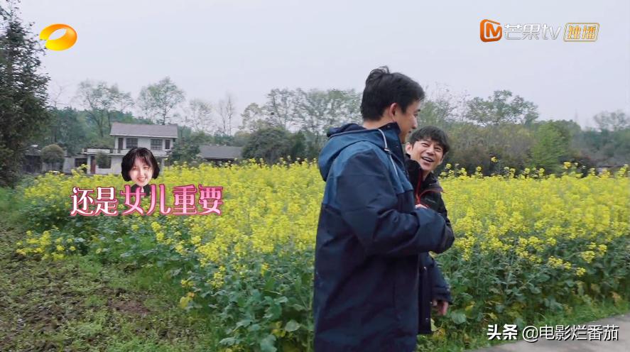 向往的生活2023会完结吗,向往的生活第七季怎么停更了