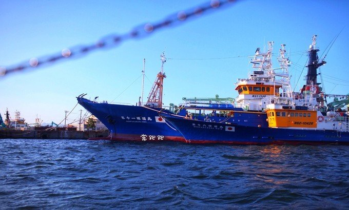 港口风情街美食,北海道美景旅游美食攻略