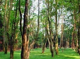 湘潭去武汉途经哪些景点,湖南湘潭哪些景点值得去