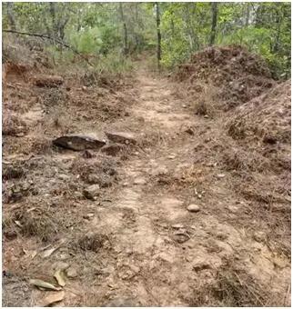 茶马古道全集版,茶马古道下集