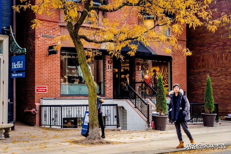 加拿大多伦多生活日记,加拿大多伦多留学生活纪实