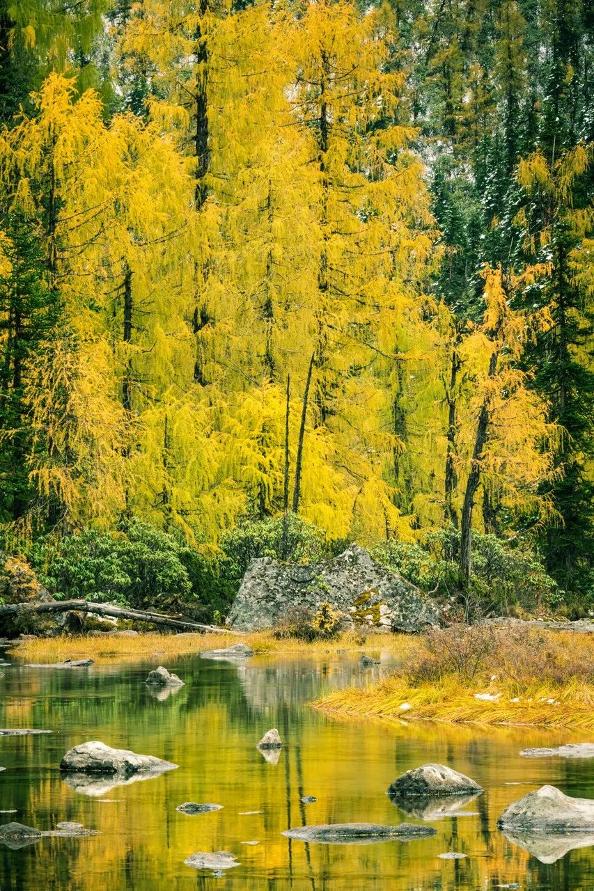 别在年轻的时候去四川！因为你的余生，都将沉醉在她的魅力里