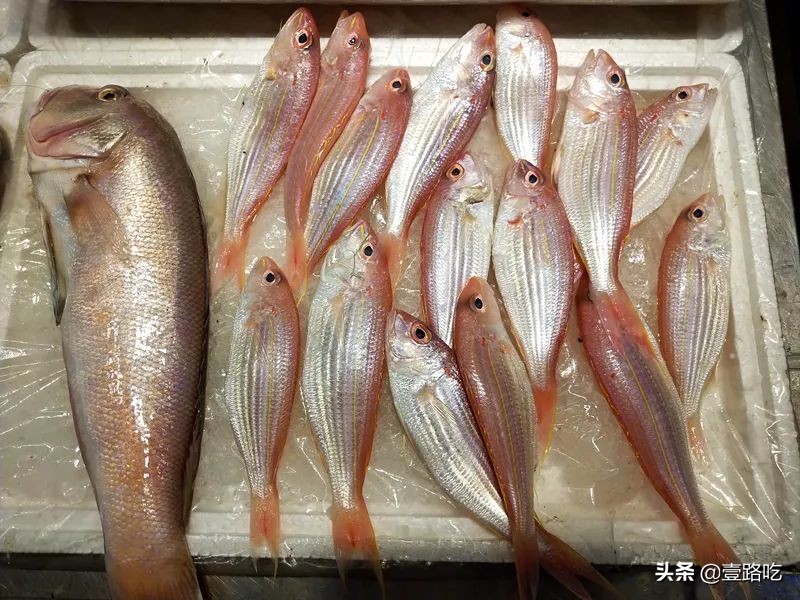 北海|报告！没遇到传销组织，只有吃不尽的海鲜美食