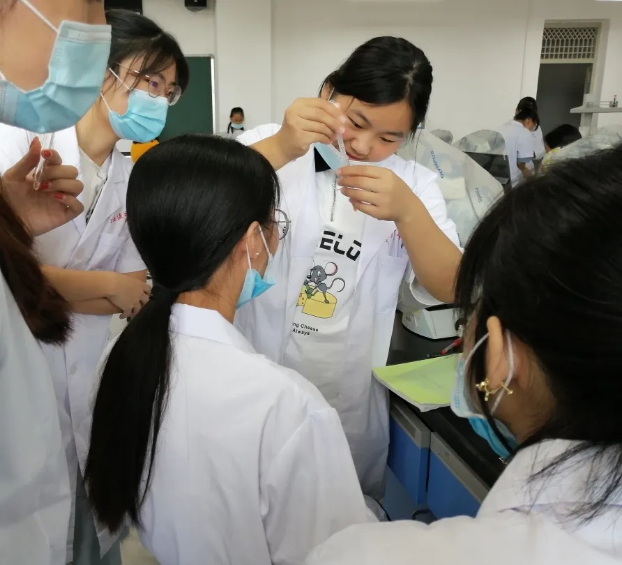 医学生学习打卡做题,医学生学习成果检验视频