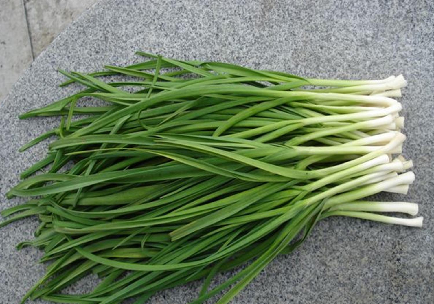 大蒜蒜苗的种植方法,新蒜蒜苗种植方法