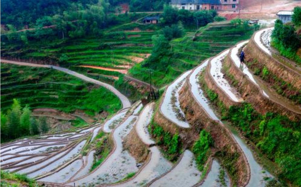 传承客家婚俗文化,川西客家婚俗文化