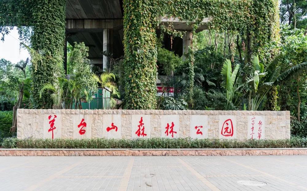 羊台山美食一条街在哪里,羊台山附近美食攻略