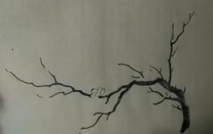 写意梅花画法技法教程视频,小写意花瓶里的梅花的画法