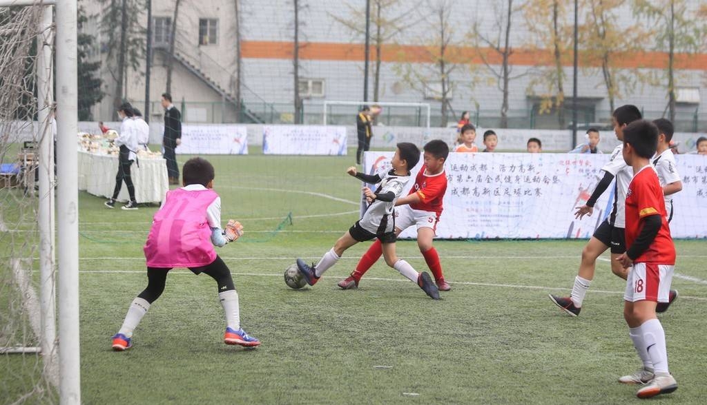 中国足球职业化的核心问题,中国足球的未来发展方向是什么