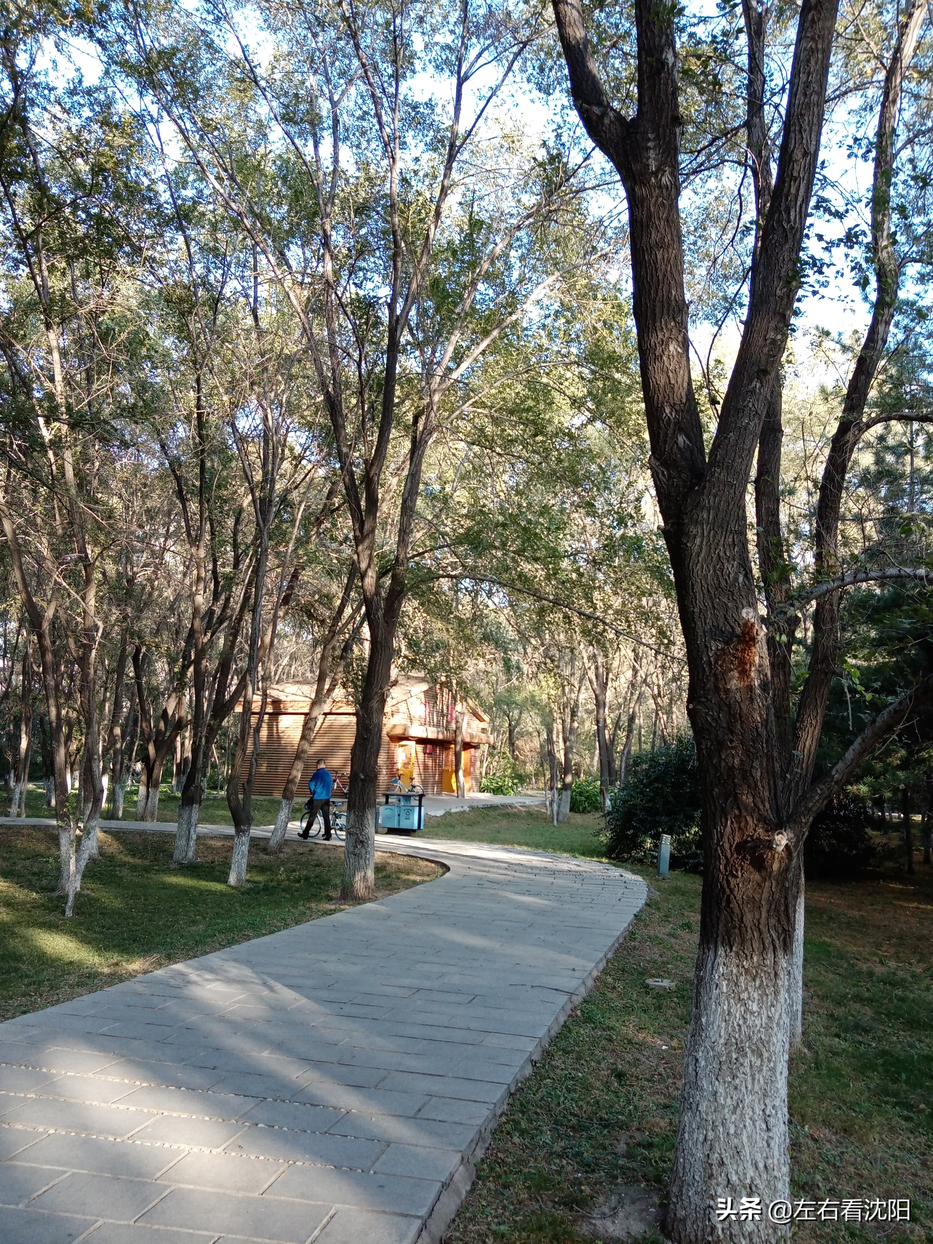 沈阳沈水湾公园看日出,沈阳浑河看海的地方