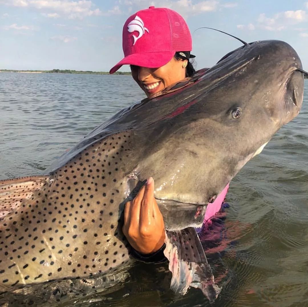 世界顶级淡水鱼大全,世界上顶级鱼类大全