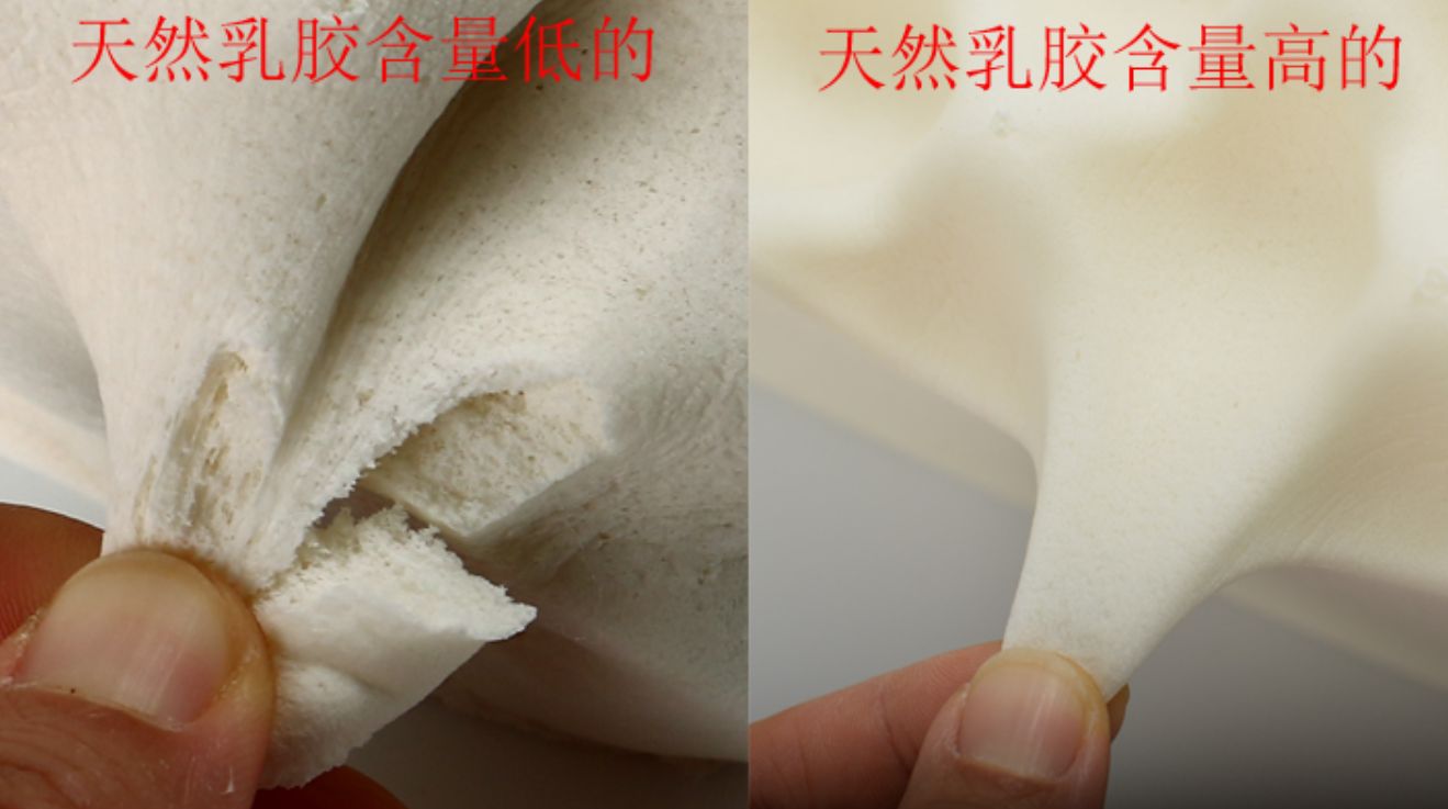 乳胶枕到底是不是智商税,乳胶枕智商税