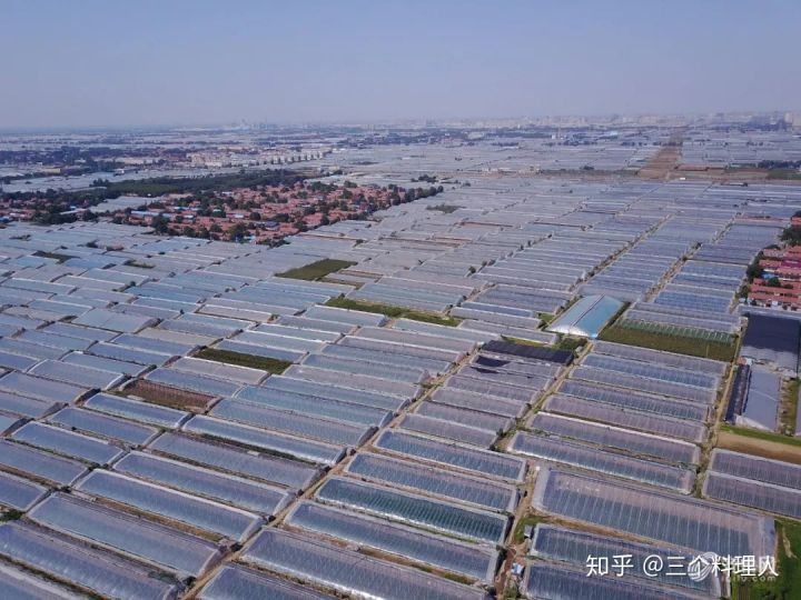 灞变笢鐨勮敩鑿滅粰鍝噷渚涚粰,灞变笢鐨勮敩鑿滈兘渚涘摢閲屼簡