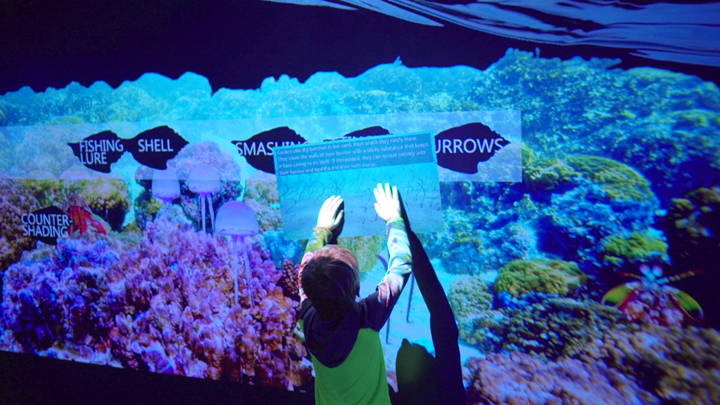 沉浸式墙面投影互动,北京墙面互动投影游戏