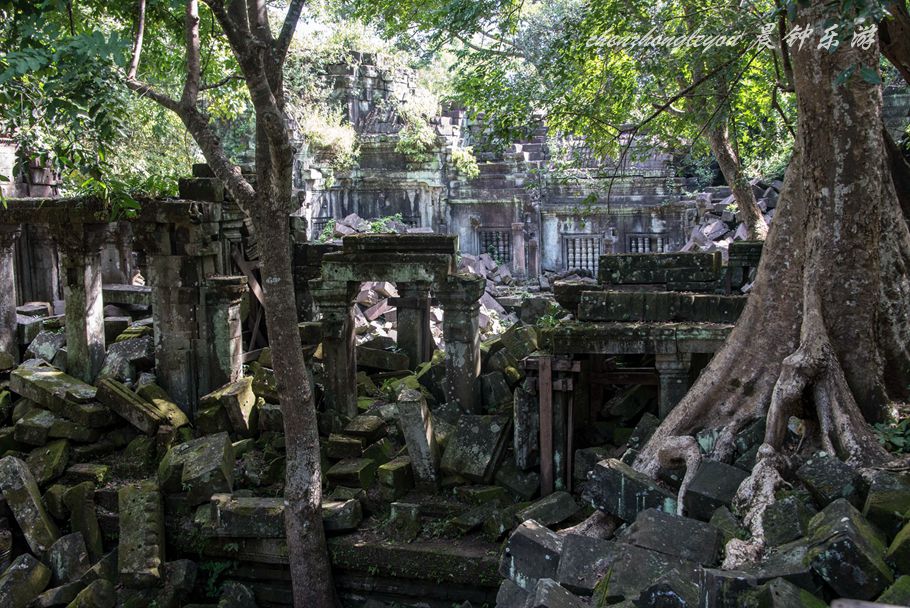 崩密列的简介,崩密列的详细介绍