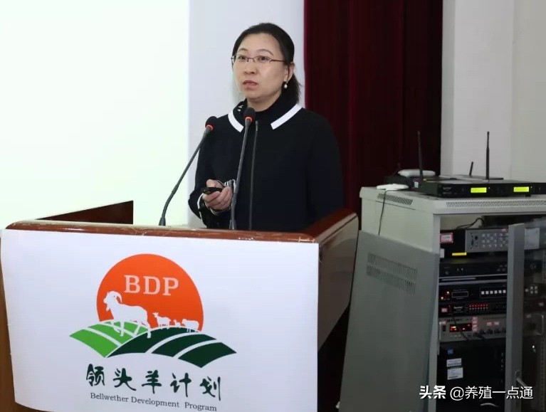 张微教授,张微女士