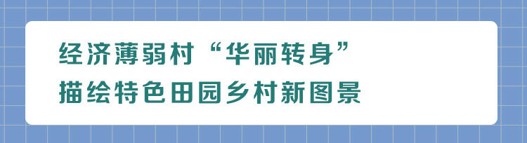 对话“一线指挥官”：从“苏北洼地”到“产业名县”看灌南“72变”华丽转身