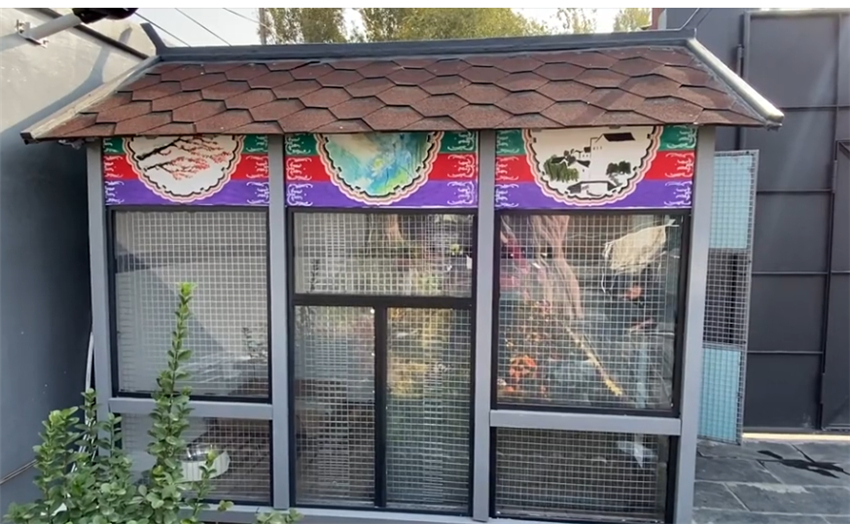 花8万改造北京小院,北京姑娘214天改造小院