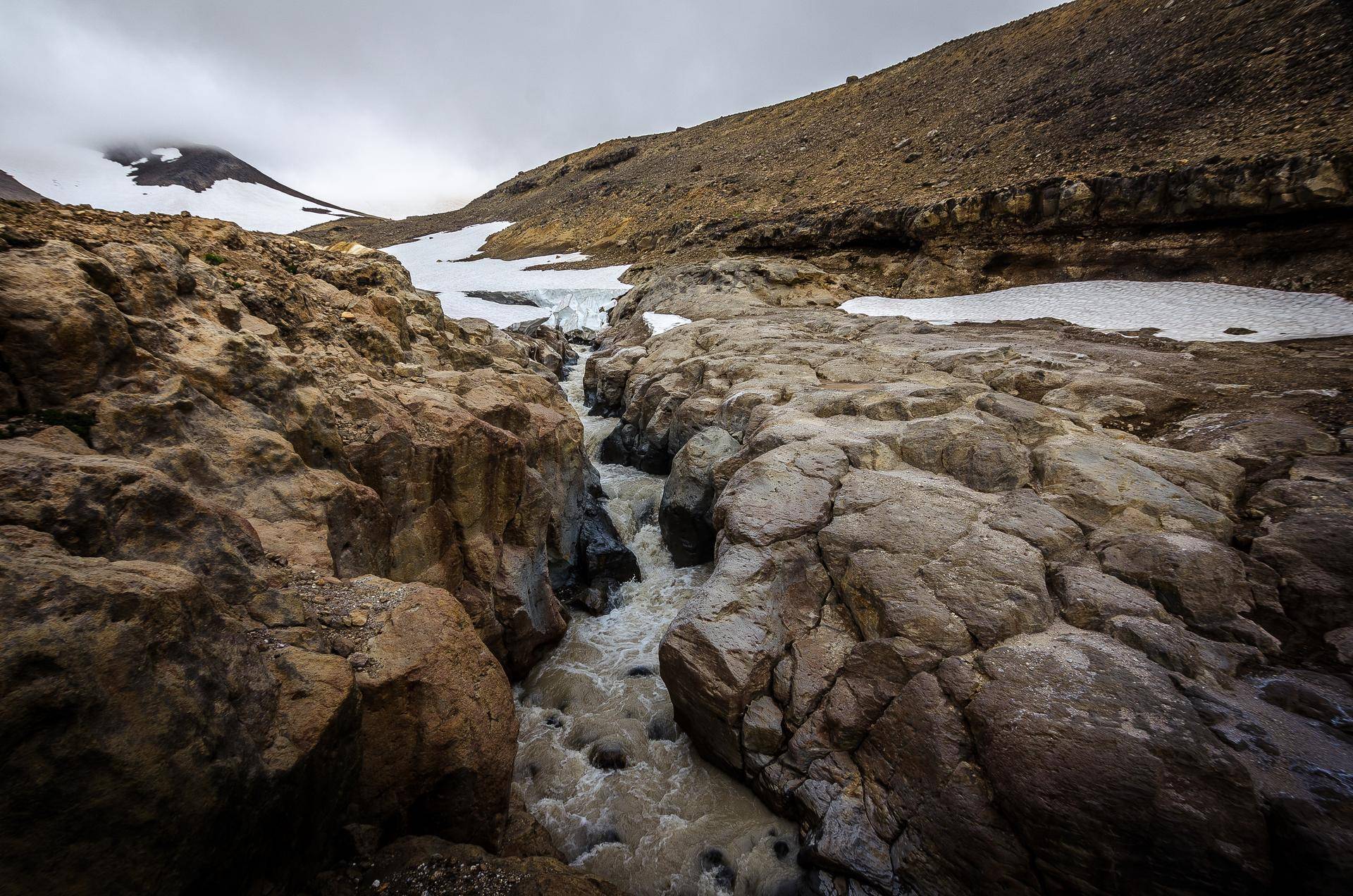 曾抵挡住侵略者脚步的半岛，如今对华免费电子签，鱼子酱*公论**斤卖