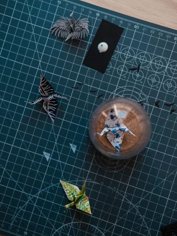 1000天1000只纸鹤,他折的纸鹤让自己走出抑郁……