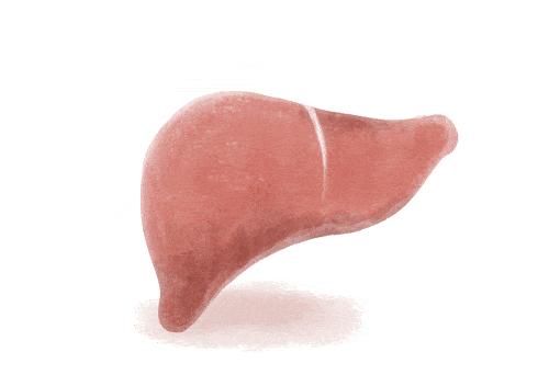 男的吃酸菜鱼查出有肝吸虫,左肝被掏空罪魁祸首是酸菜鱼