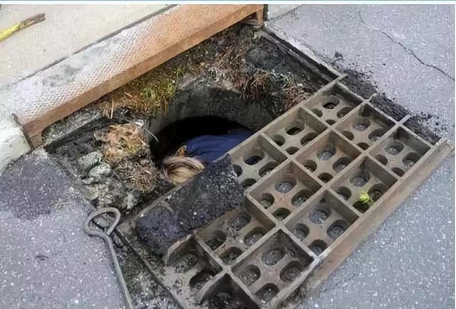 第一次当花童没有什么经验,第一次当花童没什么经验