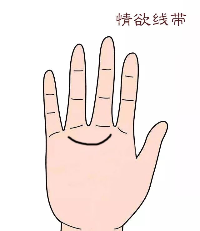 《三机论手》手掌上代表一个人运势的纹理，你都认识吗？