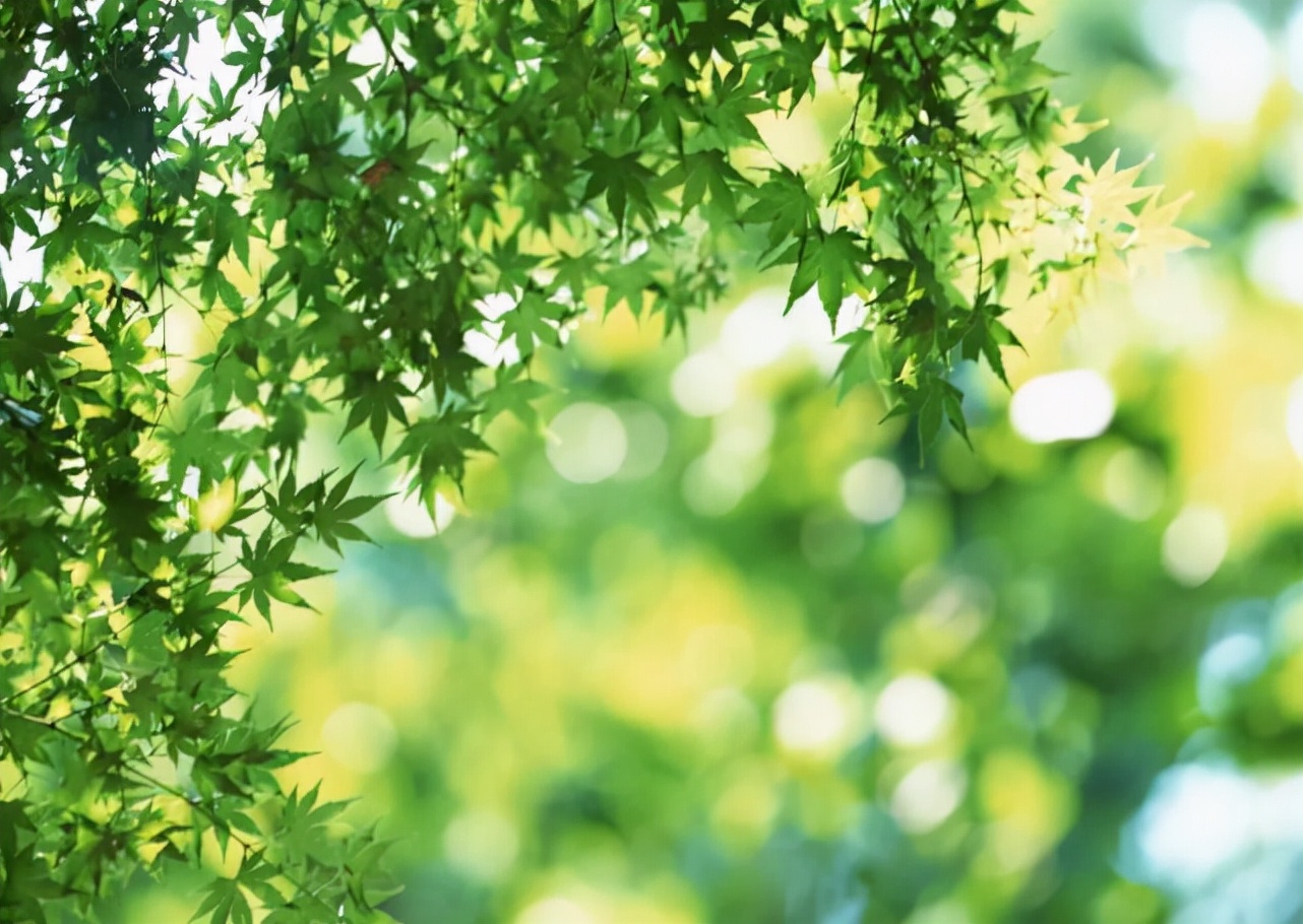 北京石油化工学院哪些专业吃香,北京石油化工学院哪个专业有前途