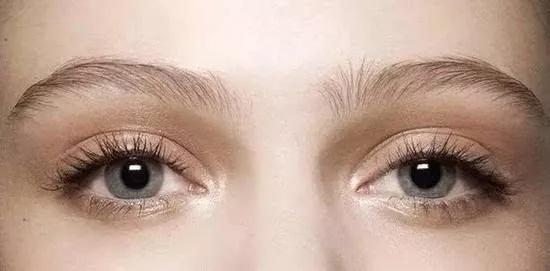 从丑小鸭到白天鹅的经历了什么,从丑小鸭到白天鹅蜕变