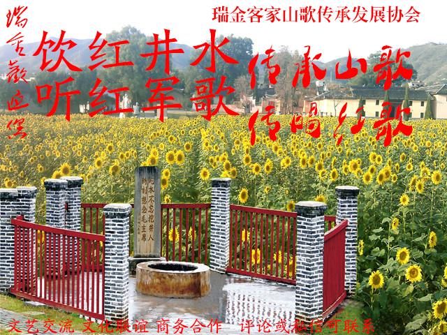 瑞金体育比赛,瑞金8强足球赛