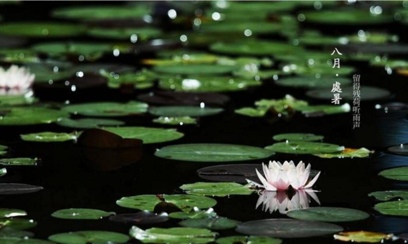 二十四节气处暑书签,处暑二十四节气诗歌