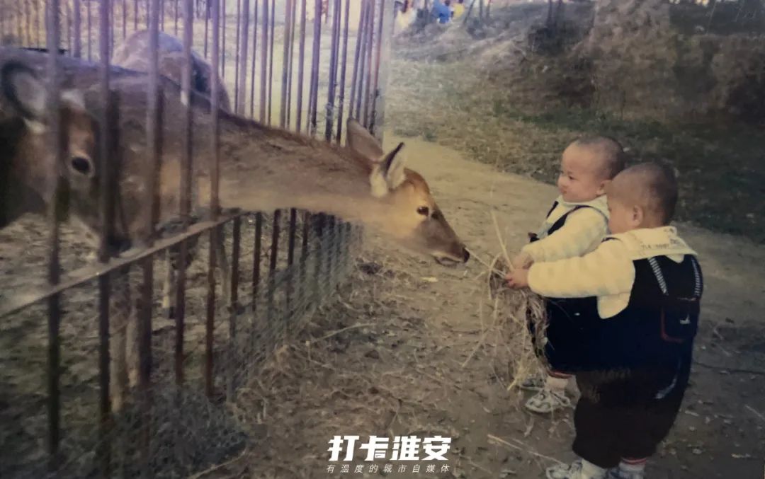 儿童节去儿童乐园,儿童节去公园玩