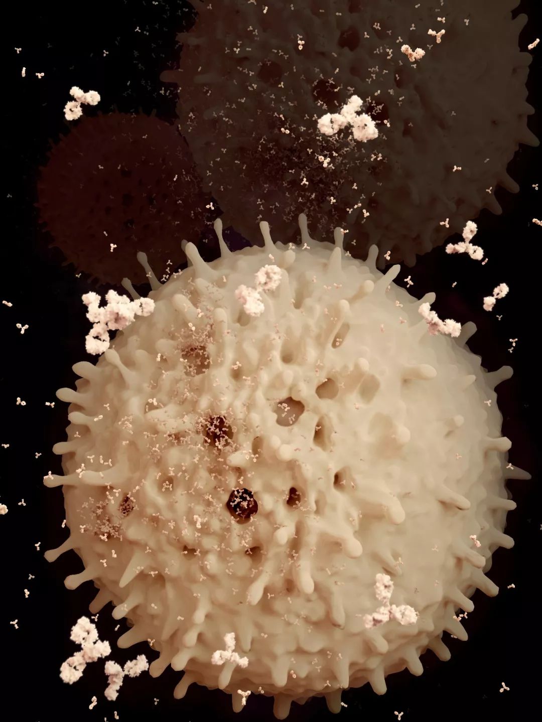 感染病毒后的168小时,你的体内都发生了什么?