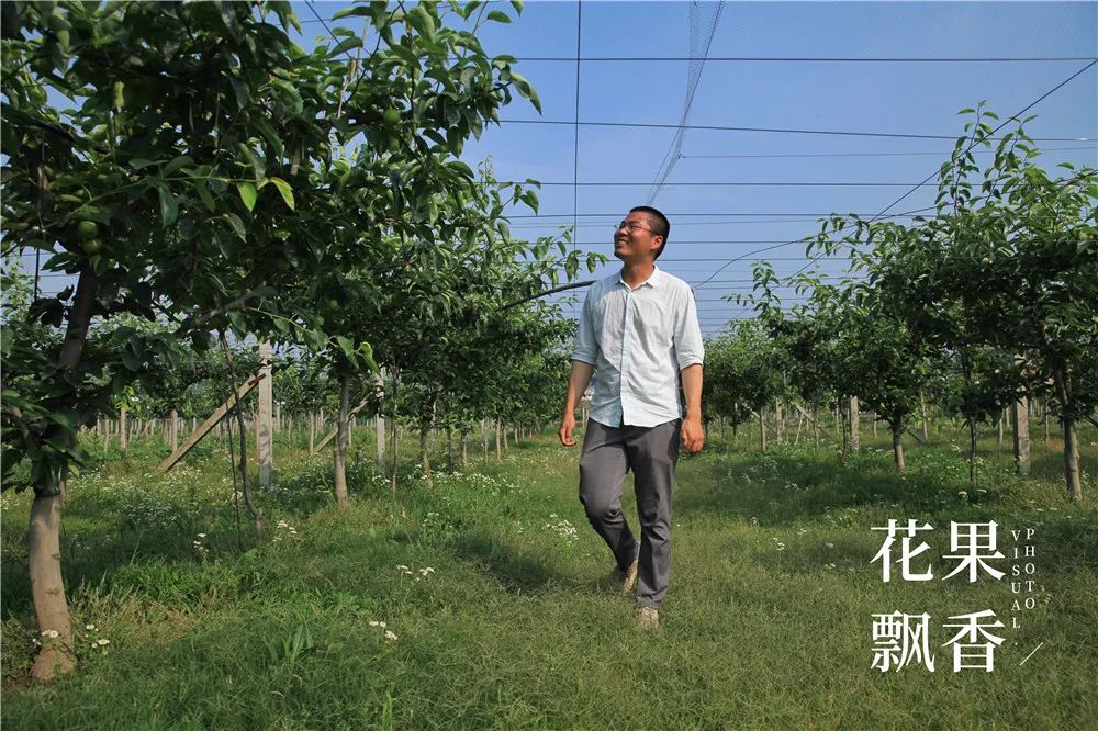 农业十个投资九个坑,农业有很多坑