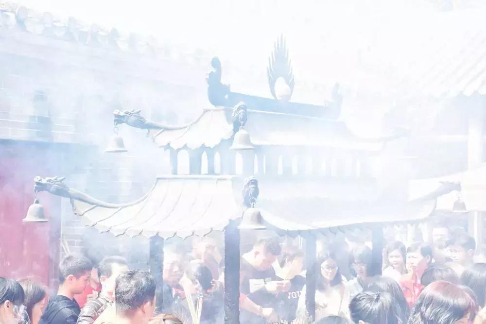 摄影点评（熊猫上班）