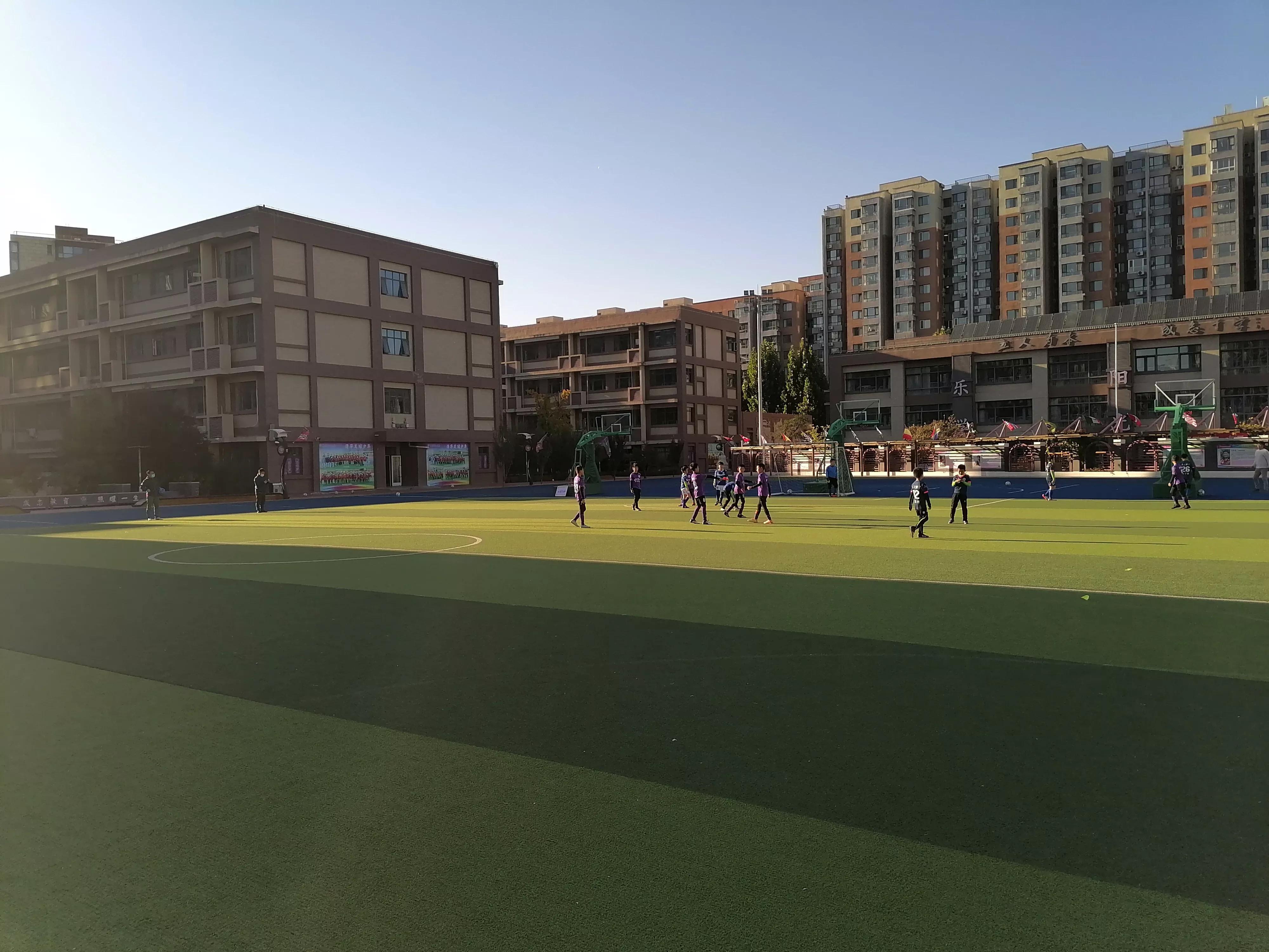 体育运动的价值和意义,体育运动的价值取向