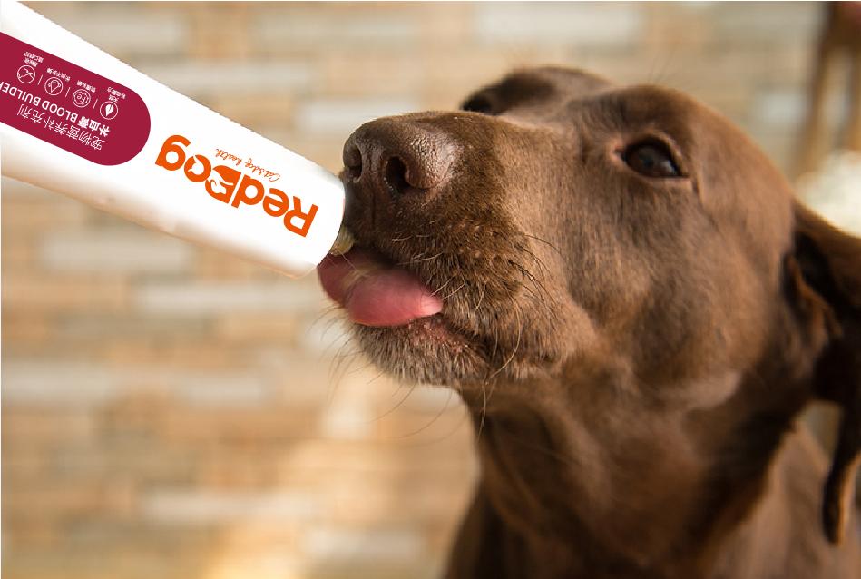 狗狗免疫性溶血性贫血治愈率高吗,狗狗溶血性贫血是怎么回事