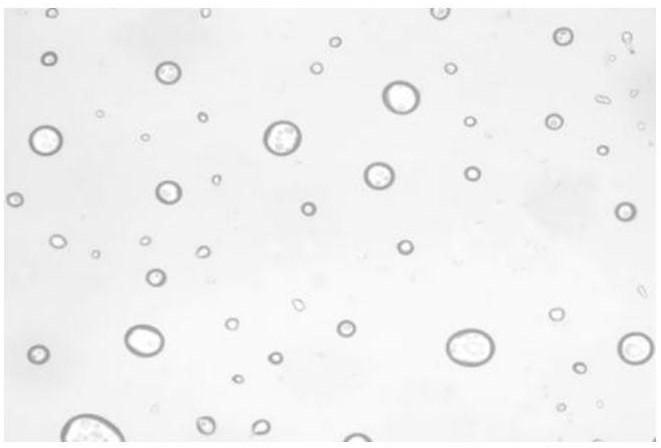 北航赵勇教授：一种基于浸润性可调控乳液分离纤维膜及其制备方法