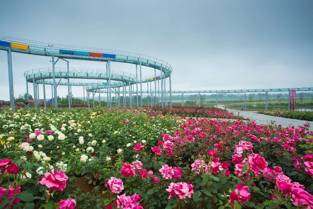 中国之美惊艳全世界,中国之美镜头视频