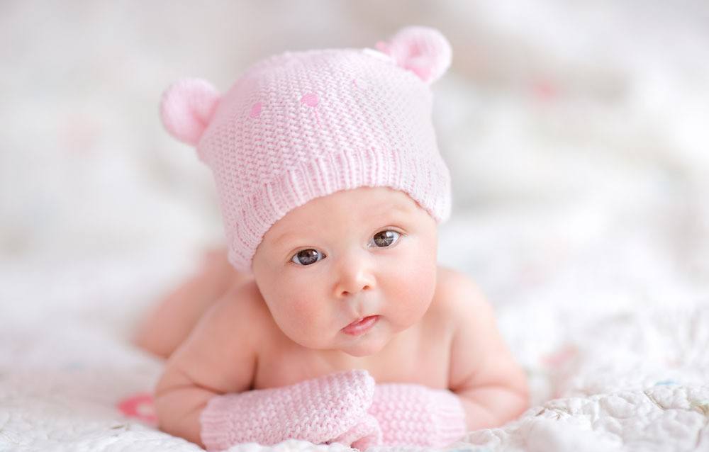 冷知识来了世界上脚最长的动物,科普知识世界上最大动物的脚