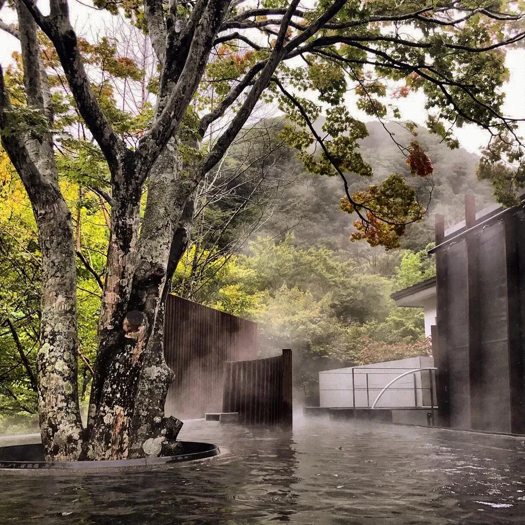 日本主要交通方式,在日本什么交通方式最便宜