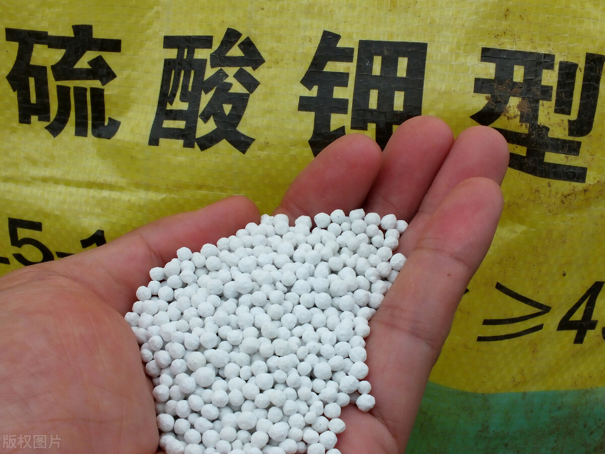 尿素价格的上涨对农民的影响,尿素价格为啥涨