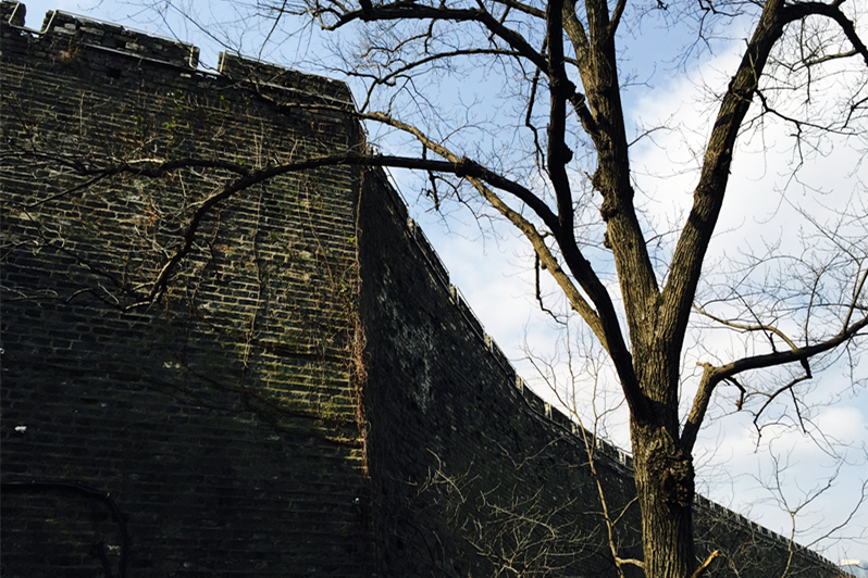 月下说金陵，晨起游南京