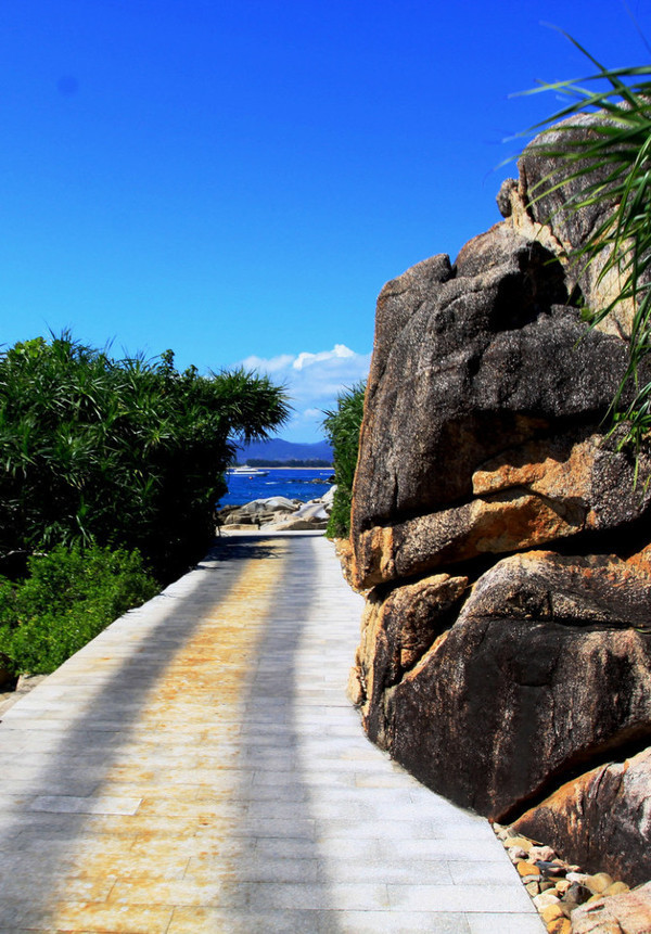 我的海南之旅作文,从海口到三亚感受海南的无限魅力