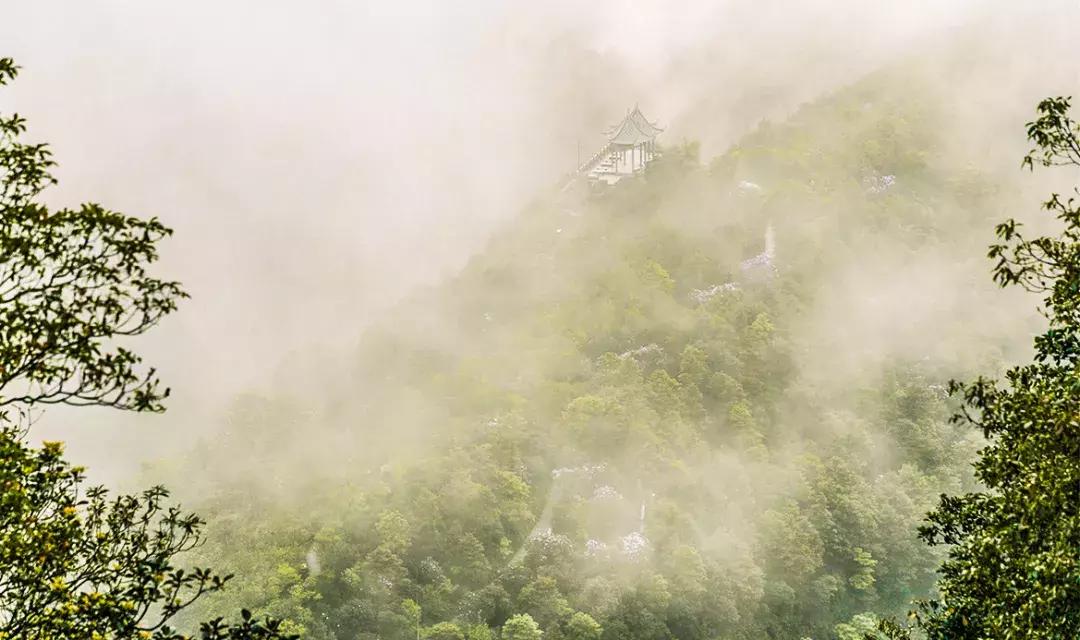 附近莲塘,附近的莲塘